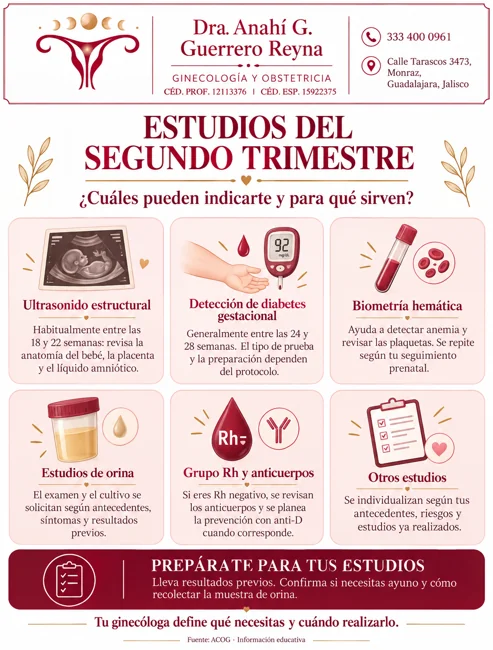 Estudios del 2do trimestre
