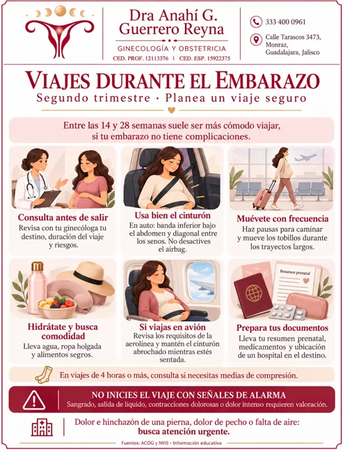 Viajes durante el embarazo