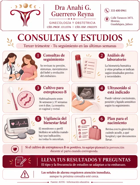 Consultas y estudios
